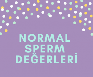 Sperm sağlığı