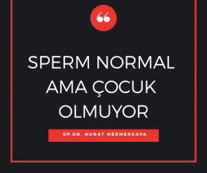 Sperm normal ama çocuk olmuyor Murat Mermerkaya